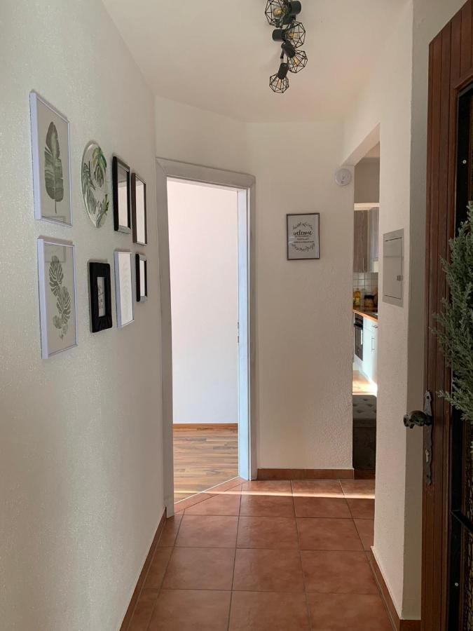 M'S Wood Appartement Maishofen Exteriör bild